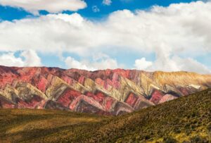 En 25 años, se perdieron 7,6 millones de hectáreas de vegetación natural, principalmente en el norte argentino