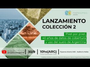 Según últimos análisis, Argentina perdió 10,5 millones de hectáreas de bosques nativos en los últimos 40 años