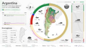 Según últimos análisis, Argentina perdió 10,5 millones de hectáreas de bosques nativos en los últimos 40 años